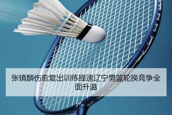 张镇麟伤愈复出训练提速辽宁男篮轮换竞争全面升温